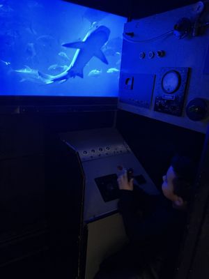 Gilbert House Children's Museum by null