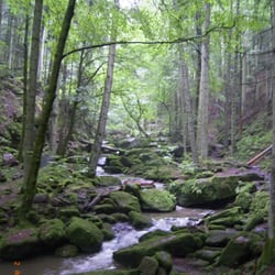 Kurverwaltung Bad Liebenzell