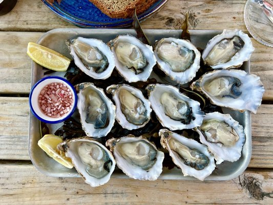 King Sitric Seafood Bar & Accommodation by null