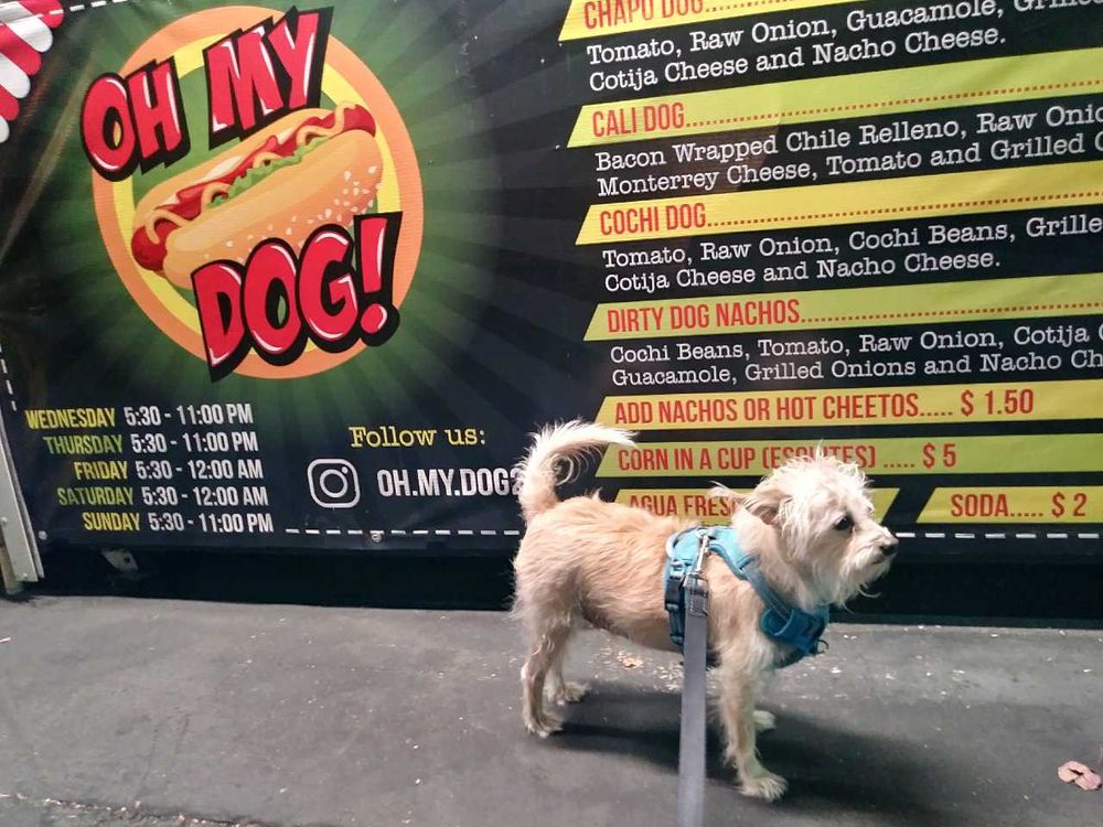 Hot Dog Stand Logo