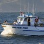 Photo of Silver Fox Sport Fishing and Tours