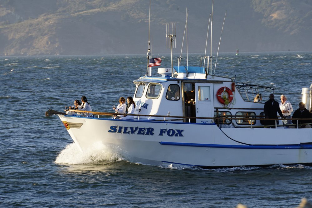 Silver Fox Sport Fishing and Tours Logo