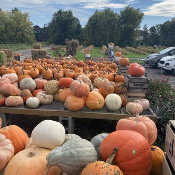 Sunscape Farms - Farmers Market Near Me - Rochester, New York Sunscape Farms - Farmers Market Near Me - Rochester, New York