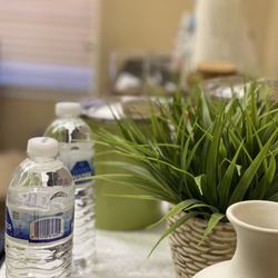 Vitality Wellness Clinic - #1 acupuncture clinic in north Texas