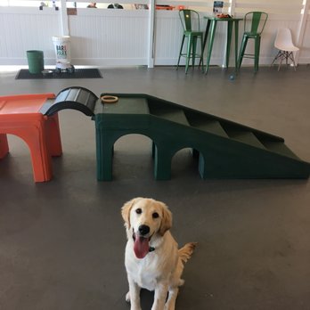 Barx Parx - Butter having the best time - Pet Training Near Me - Las Vegas, Nevada