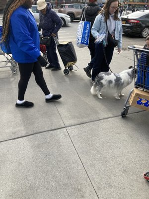 Atlantic Terminal Mall by null