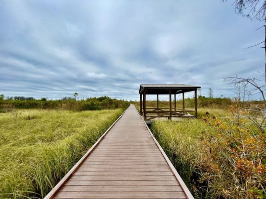 Okefenokee National Wildlife Refuge by null