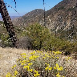 Mt. Pacifico Campground
