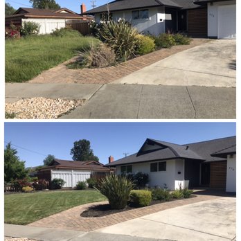 Sunrise Vine View - Before and After Landscape Cleanup - Landscaping Near Me Sunrise Vine View - Before and After Landscape Cleanup - Landscaping Near Me