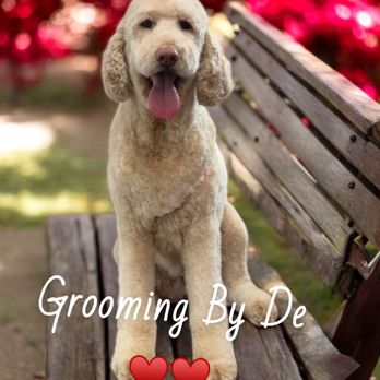 Grooming By Dee - Pet Groomers Near Me - Vacaville, California