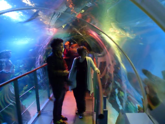National SEA LIFE Centre Birmingham by null