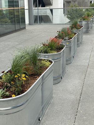 GluGlu by null GluGlu by null