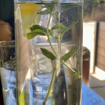 Blu Jam Cafe - Free water - Breakfast & Brunch Near Me - Sherman Oaks, California Blu Jam Cafe - Free water - Breakfast & Brunch Near Me - Sherman Oaks, California
