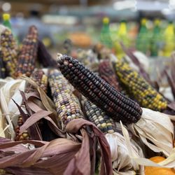 Lunardi's Markets