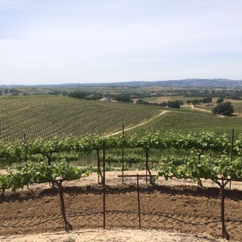 The Wine Wrangler - Wine Tours Near Me The Wine Wrangler - Wine Tours Near Me