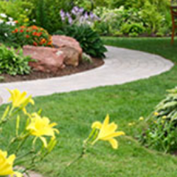 Busy Beaver Lawn & Garden - It's a completely different yard now!! Thank you