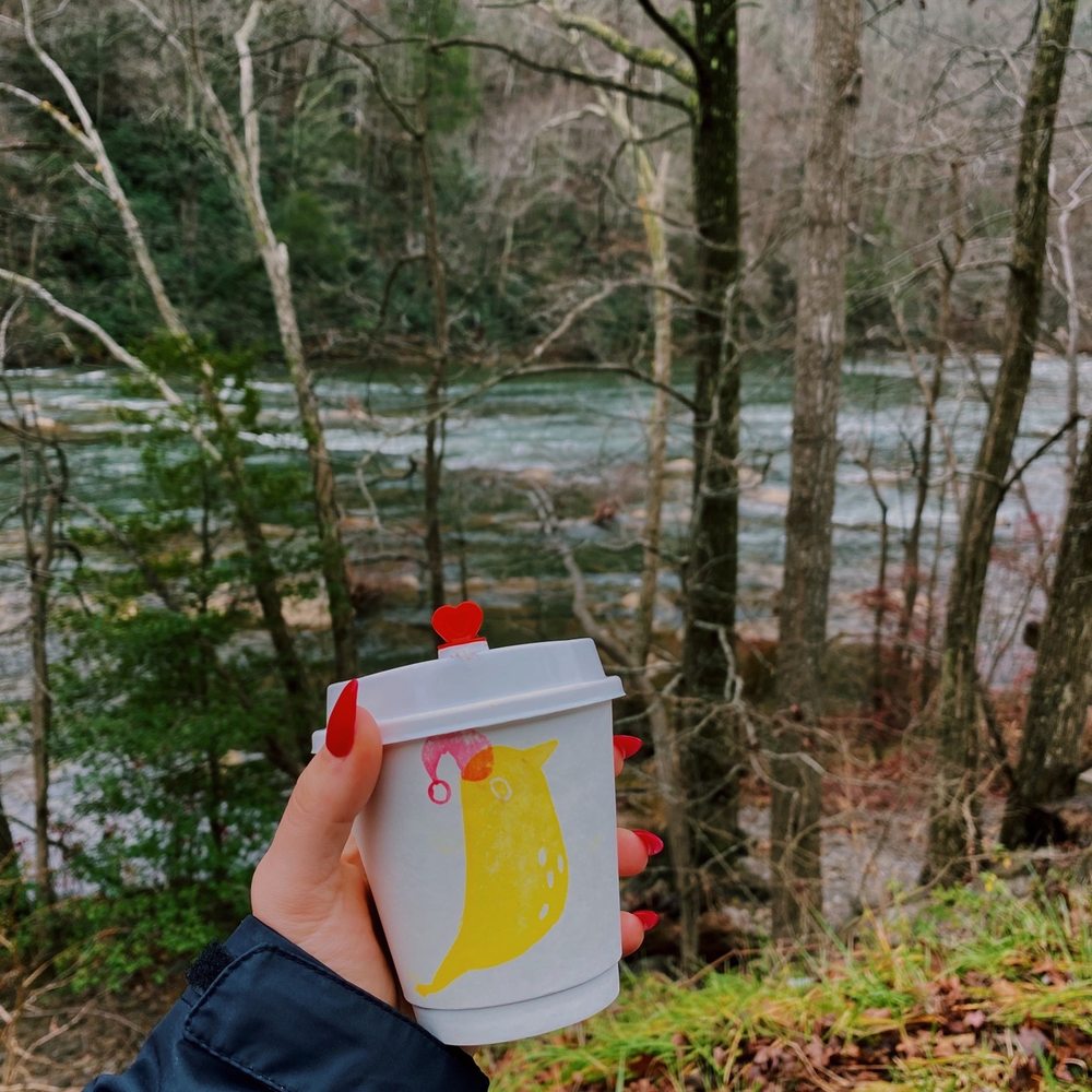 Yellowbird Coffee Shop - a person holding a cup of coffee - Coffee & Tea Near Me - Copperhill, Tennessee Yellowbird Coffee Shop - a person holding a cup of coffee - Coffee & Tea Near Me - Copperhill, Tennessee