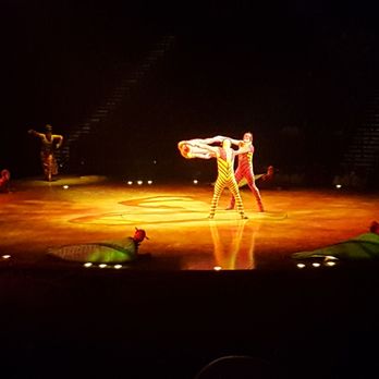 OVO: Cirque du Soleil - Performing Arts Near Me - Brooklyn, New York OVO: Cirque du Soleil - Performing Arts Near Me - Brooklyn, New York