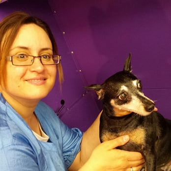 Pampered Paws Grooming - Debbie owner and groomer - Pet Groomers Near Me - Chicago, Illinois Pampered Paws Grooming - Debbie owner and groomer - Pet Groomers Near Me - Chicago, Illinois