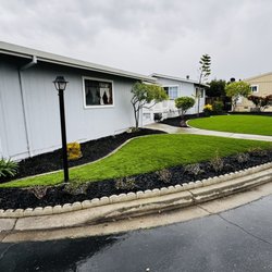 De Leon Landscaping Creations - The black wood mulch was their idea, glad I went with it looks great