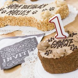 Three Dog Bakery- Perrysburg