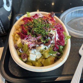Olive U Mediterranean Grill - Chicken Shawarma platter! - Mediterranean Near Me - Delray Beach, Florida