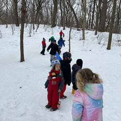 Kew Kids Forest School