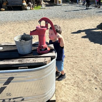 Keema's Pumpkin Farm - CSA Near Me - Elk Grove, California
