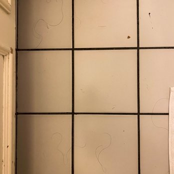 Flamingo Las Vegas - Hair all over the floor when we arrived in our room. - Hotels Near Me - Las Vegas, Nevada