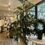 Photo of MAISON K