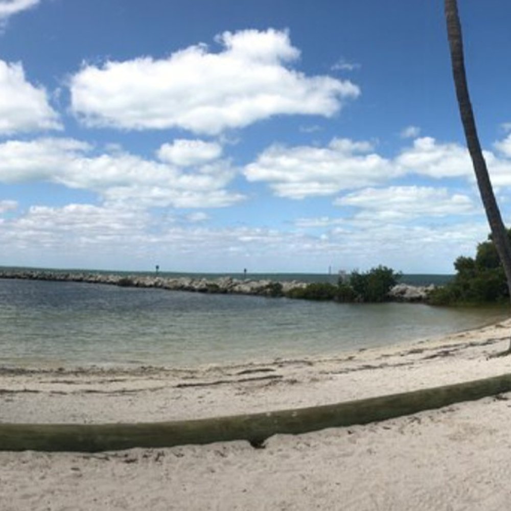Harry Harris Park - Parks Near Me - Key Largo, Florida Harry Harris Park - Parks Near Me - Key Largo, Florida
