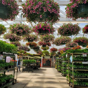 Carpinito Brothers - Nurseries & Gardening Near Me - Kent, Washington