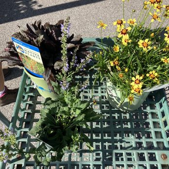 Greenscape Gardens - Nurseries & Gardening Near Me - Manchester, Missouri