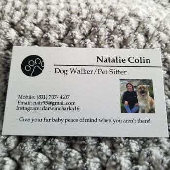 Central Coast Pet Care - Business Card Info - Dog Walkers Near Me