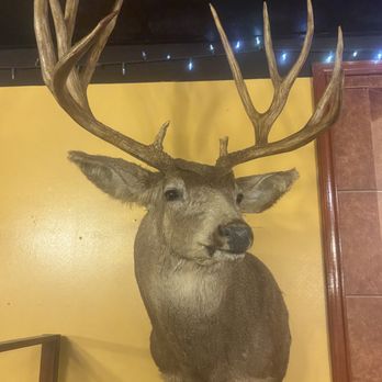 Los Patrones Mexican Grill - Mexican Near Me - Giddings, Texas Los Patrones Mexican Grill - Mexican Near Me - Giddings, Texas
