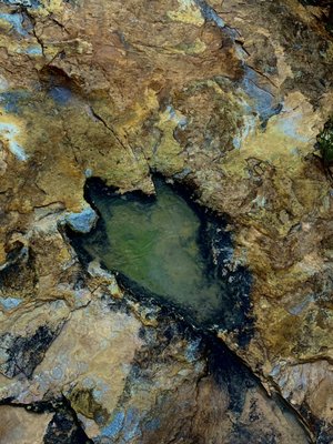 Clayton Lake State Park and Dinosaur Trackways by null