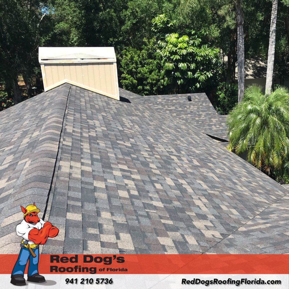 Slide of Red Dog's Roofing of Florida