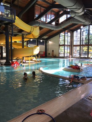 Mount Scott Swimming Pool: Portland's Unexpected Oasis - Pictures Inside!