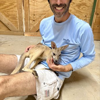 Ocoee Riverside Farm - Kindly greeted by a joey - Venues & Event Spaces Near Me - Benton, Tennessee