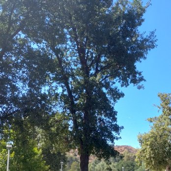 Central Park - Parks Near Me - Santa Clarita, California