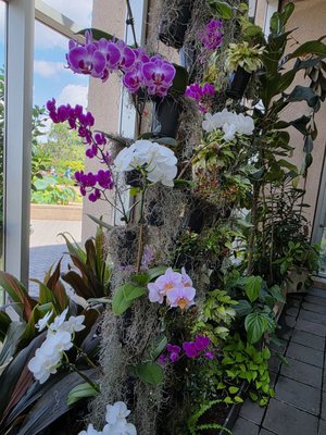 Atlanta Botanical Garden by null