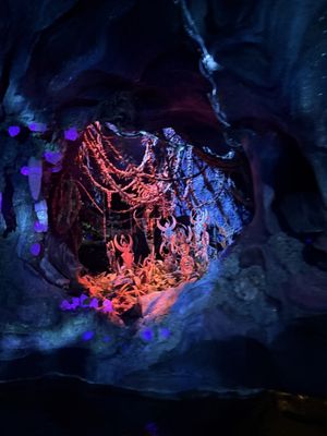 Na'vi River Journey by null