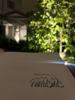 Paper Moon Giardino by null