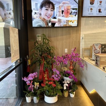 Xing Fu Tang - Bubble Tea Near Me - Milpitas, California Xing Fu Tang - Bubble Tea Near Me - Milpitas, California