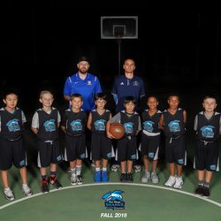 Beach City Sharks Youth Basketball Club