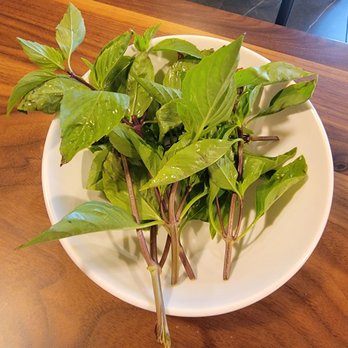 Pho Ever - Alhambra - they give you a lot if you ask for extra basil - Vietnamese Near Me - Alhambra, California Pho Ever - Alhambra - they give you a lot if you ask for extra basil - Vietnamese Near Me - Alhambra, California