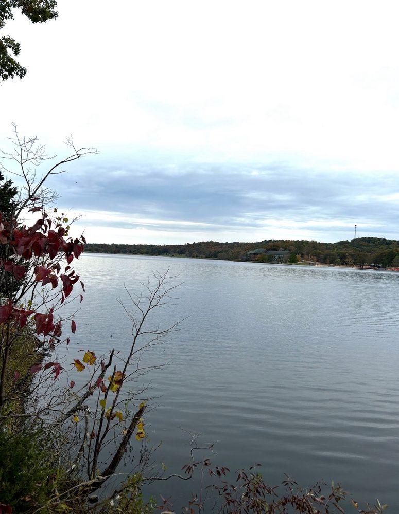 YMCA Trout Lodge Logo