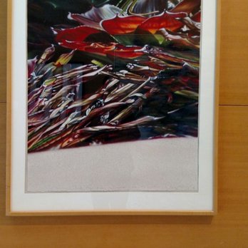 Contemporary Museum - Art display - Art Museums Near Me - Honolulu, Hawaii