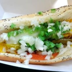Chicago Red's Windy City Hot Dogs - sample