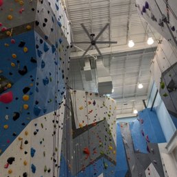 Memphis Rox - Rock Climbing Near Me - Memphis, Tennessee